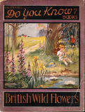 The cover of a small book in Valentine's 'Do You Knows' series of booklets  -  British Wild Flowers