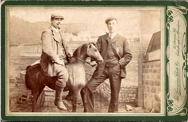 Parisian Photo Co, Edinburgh and Aberdour  -  Cabinet Print - Horse and backdrop in the studio