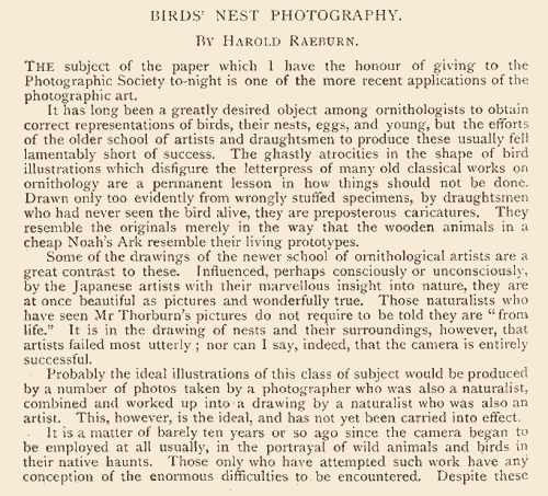 Lecture by Harold Raeburn to Edinburgh Photographic Society in 1901  -  Birds Nest Photography  -  Page 1 -  Page 1