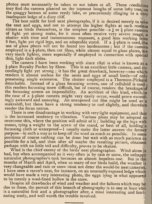 Lecture by Harold Raeburn to Edinburgh Photographic Society in 1901  -  Birds Nest Photography  -  Page 3