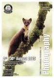 by Jenny Hibbert, Wales, titled: "Pine Marten up a Branch"Robert Mawer ARPS titled 'Spatial Awareness'