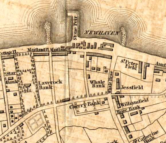 Newhaven Map  -  1860
