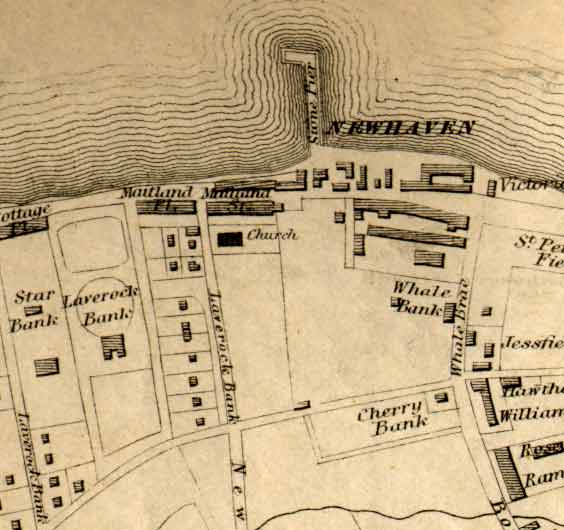 Newhaven map  -  1860