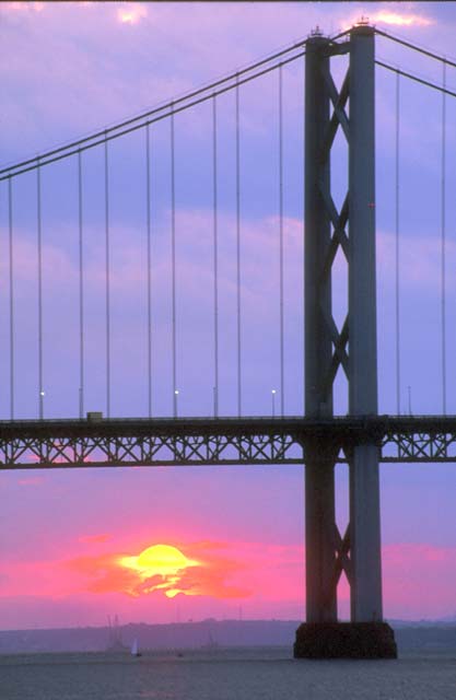 The Forth Road Bridge  -  2