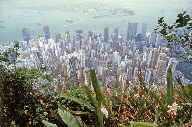 My Photographs  -  Hong Kong  -  View from the Peak