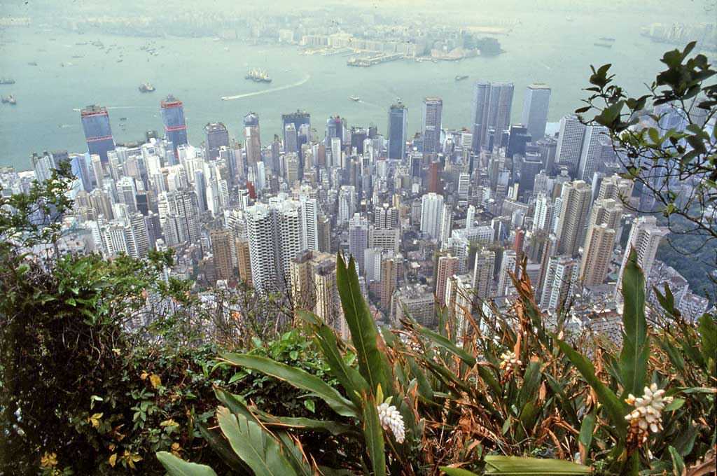 My Photographs  -  Hong Kong  - View from the Peak
