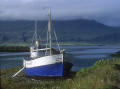 Photograph by Peter Stubbs  -  July 2001  -  Icelandic Boat