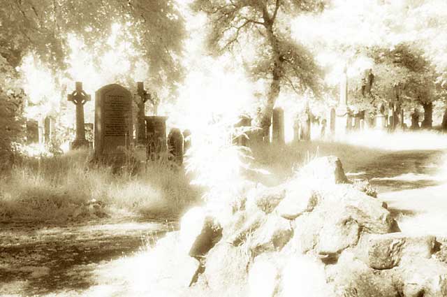 Warriston Cemetery 6  -  Infra-red Photo