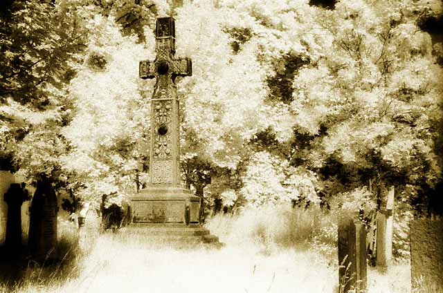 Warriston Cemetery 5  -  Infra-red Photo