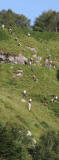Scottish Highland Games  -  Glenfinnan  -  20 August 2005  -  The Hill Race for Juniors