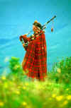 My Photographs  -  Highland Piper