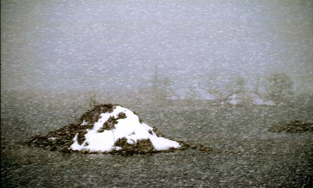 Rannoch Moor  -  Snowstorm