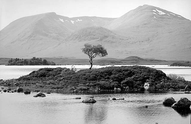 Rannoch Moor in Spring  -  Black and White photo