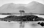 Rannoch Moor in Spring  -  Black and White Photo