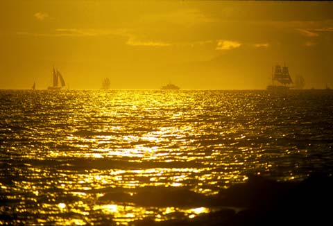 Tall Ships in the Firth of Forth  -  3