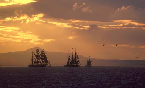 Tall Ships  1  -  in the Firth of Forth