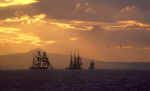 Tall Ships in the Firth of Forth  -  1