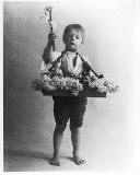 Photograph by AH MacLucas of his son Norman - Flower Seller