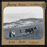 Glass Slide by photographer Charles Reid, Wishaw.  The slide is a view of farming on Arran