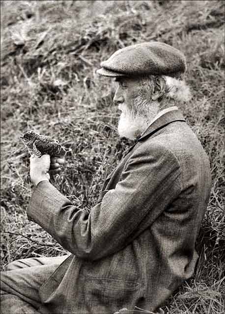 Portrait of Charles Reid with a young cuckoo