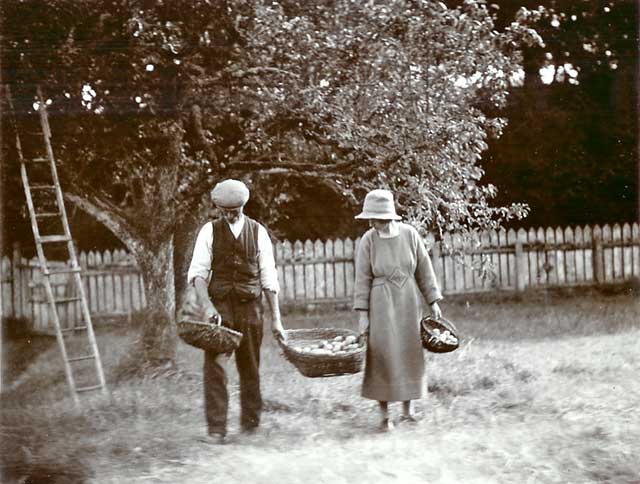 Photograph from the family of Horatio Ross  -  At work in the Garden  -  Which garden?