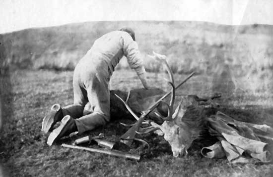 Photograph of a Kill  -  possibly taken by Horatio Ross
