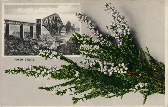 The Forth Bridge and lucky white heather