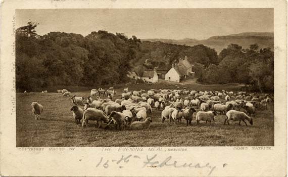 Post Card - Evening Meal, Swanston - By James Patrick
