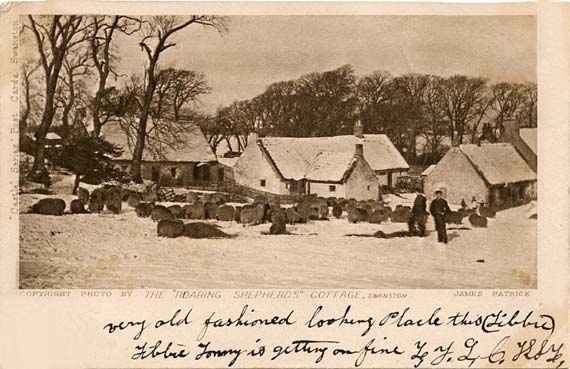 Post Card - The "Roaring Shepherds" Cottage, Swanston - by James Patrick