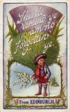 Pocket Novelty card containing 12 small views of Edinburgh  -  Picture on the front is of a Thistle