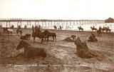 Postcard in P W & M Vello Series  -  Portobello Beach  -  17th Lancers 'Laying Down Horses' exercise