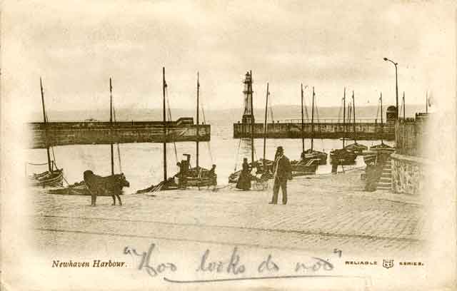 WR&S Reliable Series Postcard  -  Newhaven Harbour