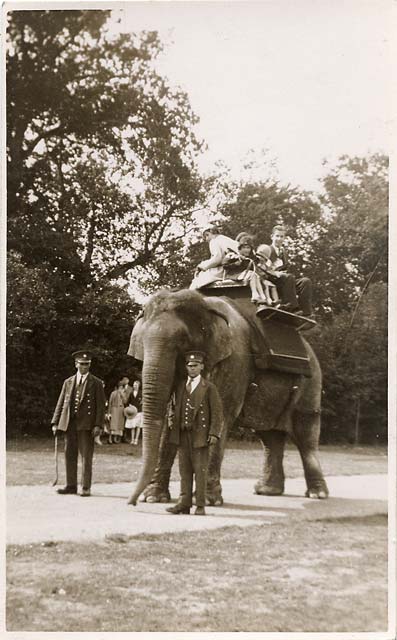 Jerome postcard  -  Date and place not known  -  Elephant