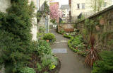  Garden, 6b Chessel's Court, Canongate, part of Edinburgh's Royal Mile  -  photographed May 2006