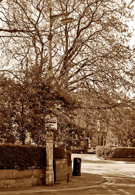 Clarenden Crescent  -  Lamp Post