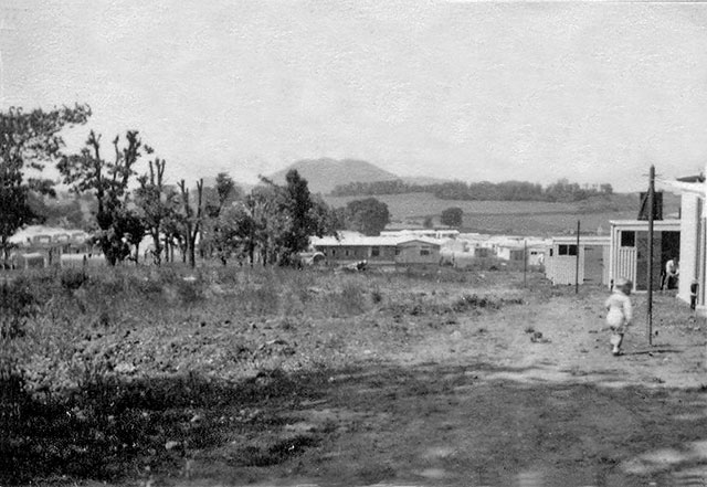 Prefabs and open fields at Craigour Avenue  -  Photo taken in 1950