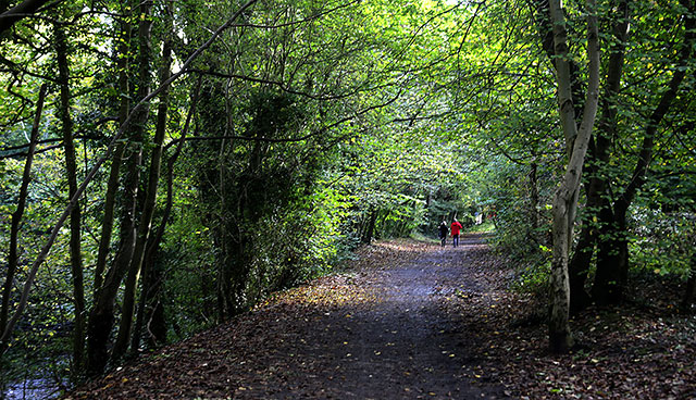 Water of Leith Walkway -  Approaching Colinton from the west  -  October 2014
