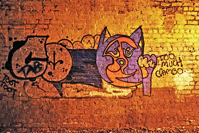 Artwork in the old Railway Tunnel at Colintion  -  October 2014