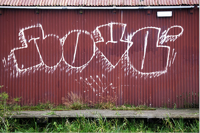 Graffiti on a corrugated iron boat house on the Union Canal at Slateford, Edinburgh  -  October 2014