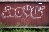 Graffiti on a corrugated iron boat house on the Union Canal at Slateford, Edinburgh  -  October 2014