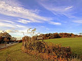 Corstorphine Hilll  -  Photographed October 2010