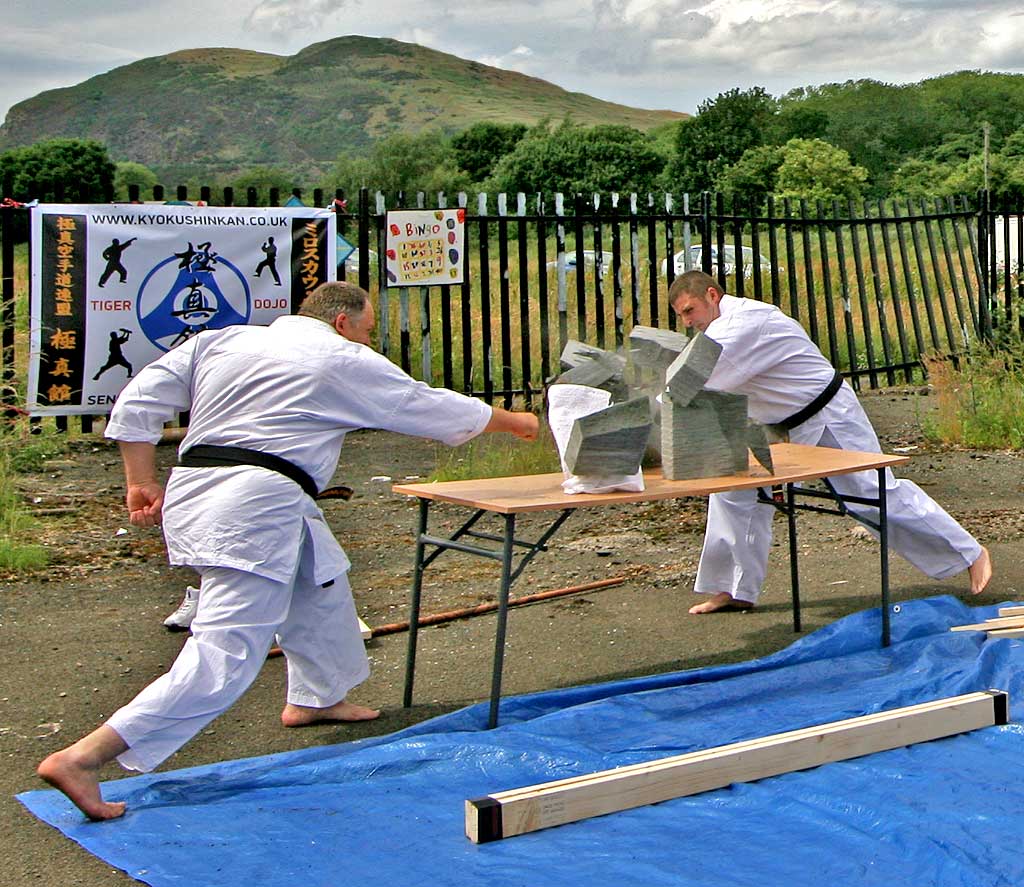 Craigmillar Festival - 2009 - Karate