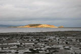 View of Cramond Island from the Dalmeny Estate  -  November 2005