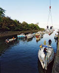 Cramond  -  Boats being lifted out of the water at the end of the sailing season  -  11 October 2003
