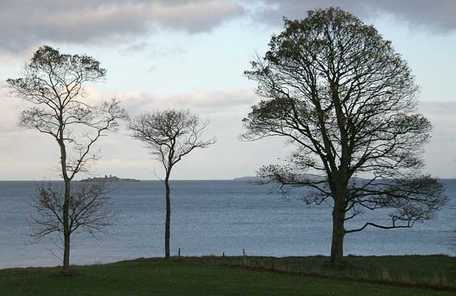 View of Inchmickery and Cramond Island in the Firth of Forth from the Dalmeny Estate  -  November 2005