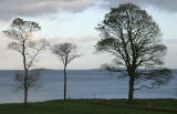 View of Inchmickery in the Firth of Forth from the Dalmeny Estate  -  November 2005
