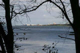View of Leith Western Harbour through the trees from the Dalmeny Estate  -  November 2005