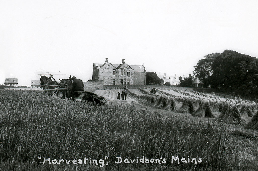 Davidson's Mains, Harvesting  -  1910