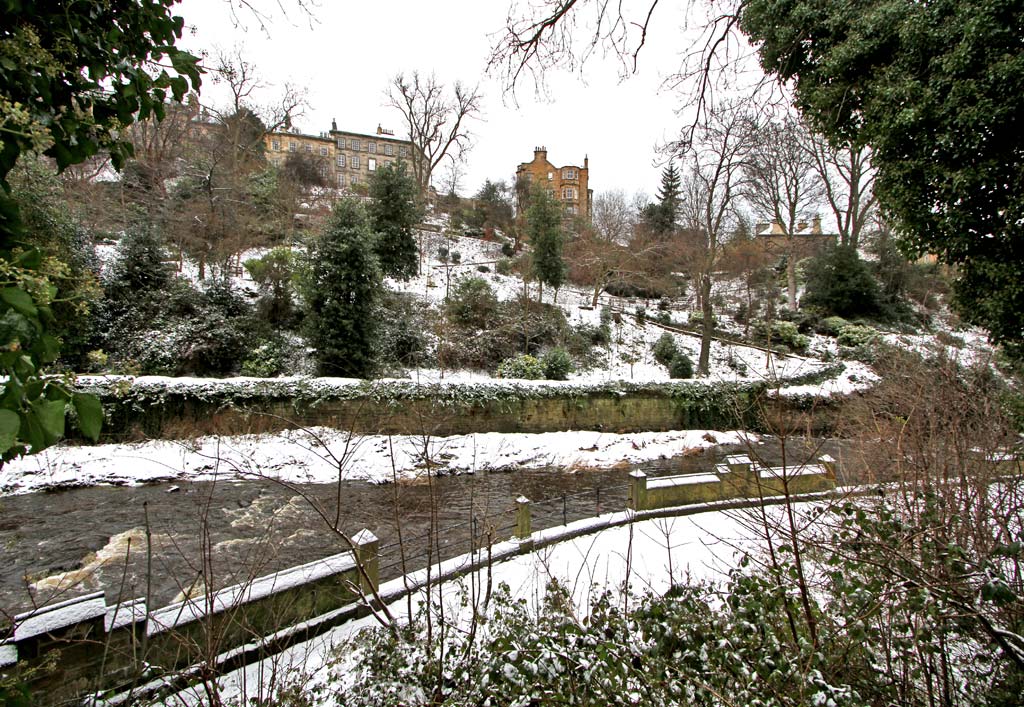 Dean Gardens and Water of Leith  -  December 2009