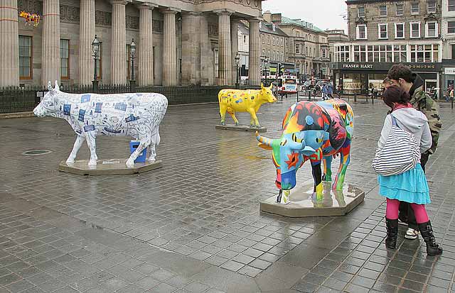 Edinburgh Cow Parade  -  2006  -  The National Galleries